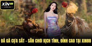 Đá gà cựa sắt